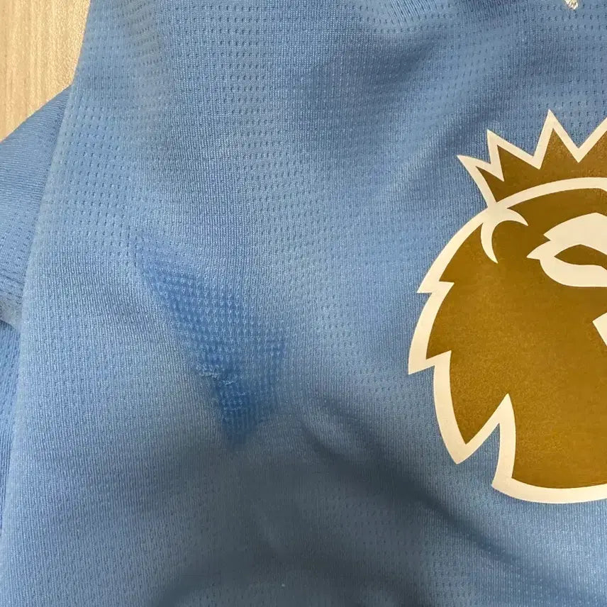 [BUNJANG] Manchester City 24-25 Home Haaland 