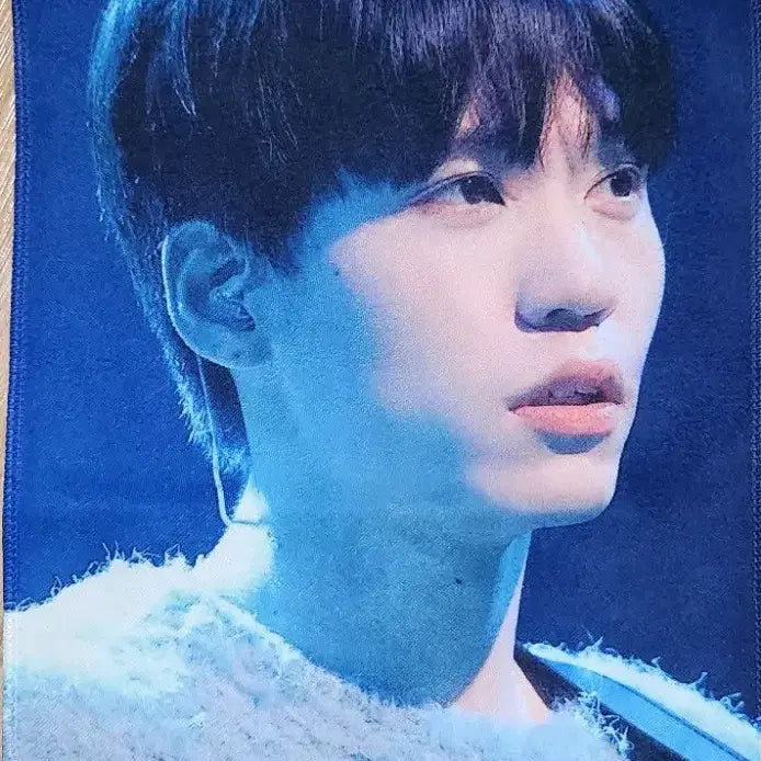 [BUNJANG] Band GIFT Lee Juhyuk Slogan, Postcards, and Can Badges Set / 밴드 기프트 이주혁 슬로건 엽서 캔뱃지