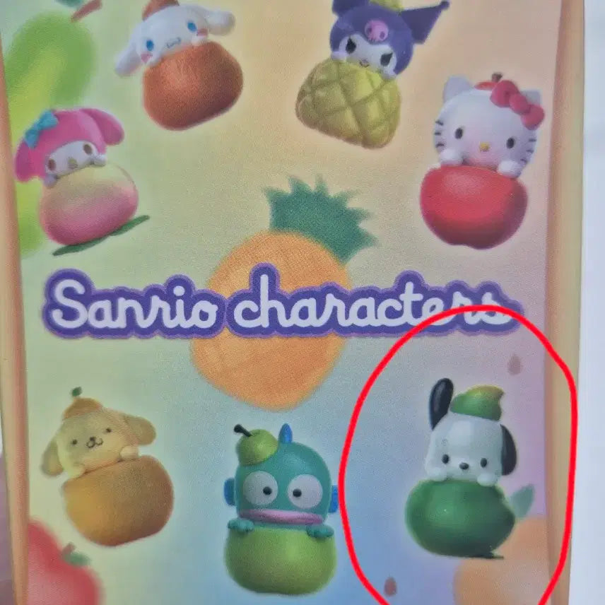 [BUNJANG] Sanrio Pochacco Fruit Series Figure / 산리오 캐릭터 피규어 과일시리즈 포차코