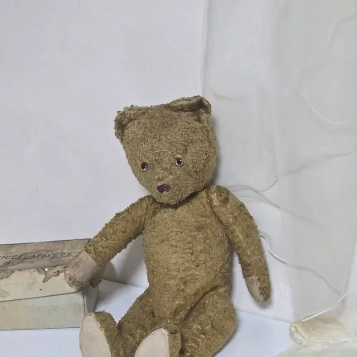 [SOLD OUT] 100년이 넘은 앤틱 베어