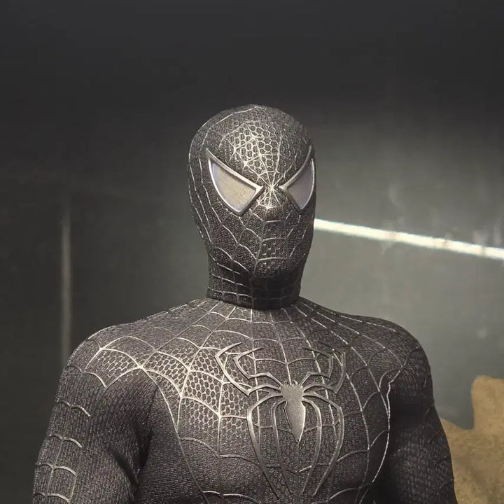 [BUNJANG] Hot Toys Black Spider-Man Body Customization + Vincent Toy Custom Head / 핫토이 블랙 스파이더맨 바디 개수 + 빈센토이 커스텀 헤드