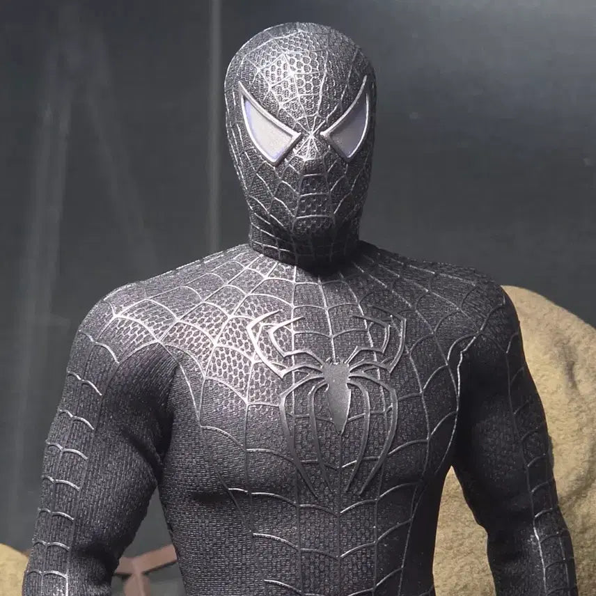 [BUNJANG] Hot Toys Black Spider-Man Body Customization + Vincent Toy Custom Head / 핫토이 블랙 스파이더맨 바디 개수 + 빈센토이 커스텀 헤드