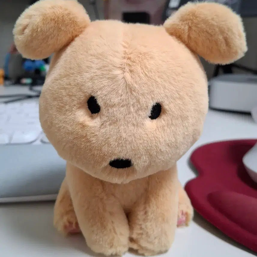 [SOLD OUT] 레어 깜자 시팅 인형