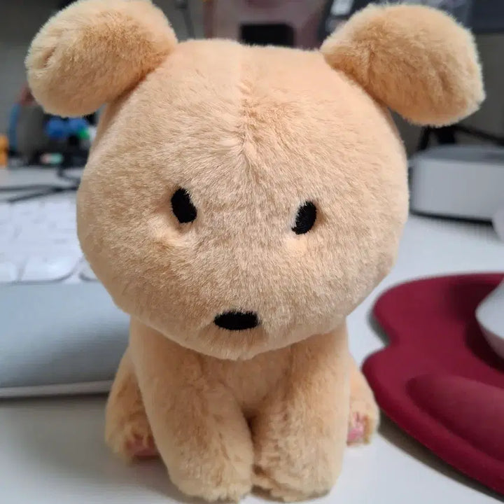 [SOLD OUT] 레어 깜자 시팅 인형