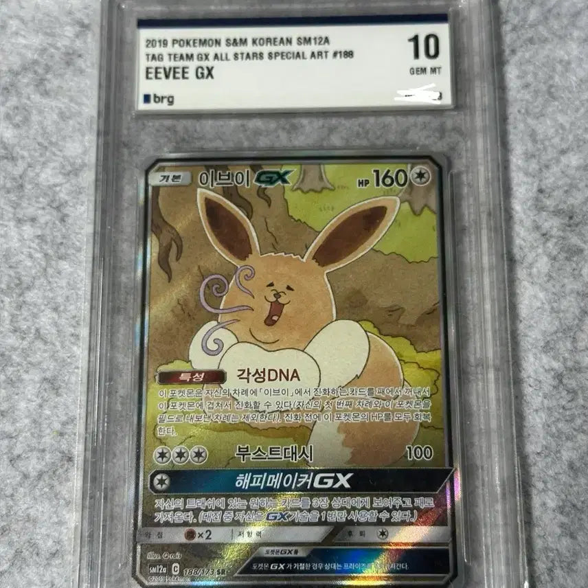 [BUNJANG] Tag Team Eevee GX SR BRG10 / 태그팀 이브이 GX sr brg10 뚱브이
