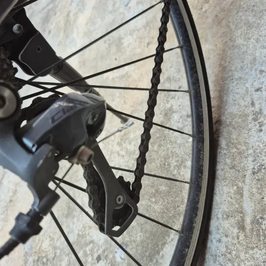 [BUNJANG] Strove Road Clarice Bicycle Black / 스트로브 로드 클라리스 자전거 블랙