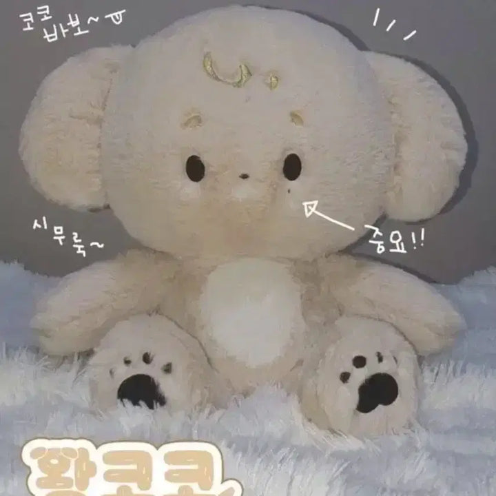 [BUNJANG] SEVENTEEN Dokyeom 40cm Doll &