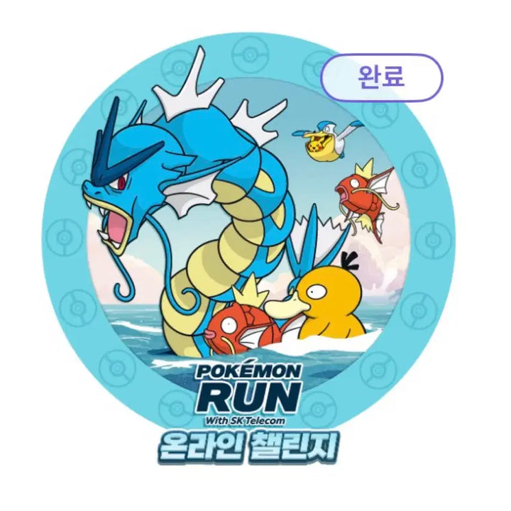 [BUNJANG] Pokemon Magikarp Promo Cards 3-Card Bundle / 포켓몬카드 잉어킹 프로모 카드 3장 일괄 양도