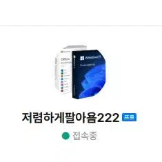[BUNJANG] Microsoft Office 2024 Standard Edition / 윈 + 2024 세트