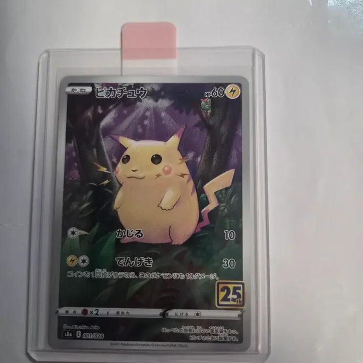 [BUNJANG] Pokemon Card Pikachu 25th Anniversary Collection (Japan Edition) / (일본판) 포켓몬 카드 피카츄 25주년 기념 컬렉션