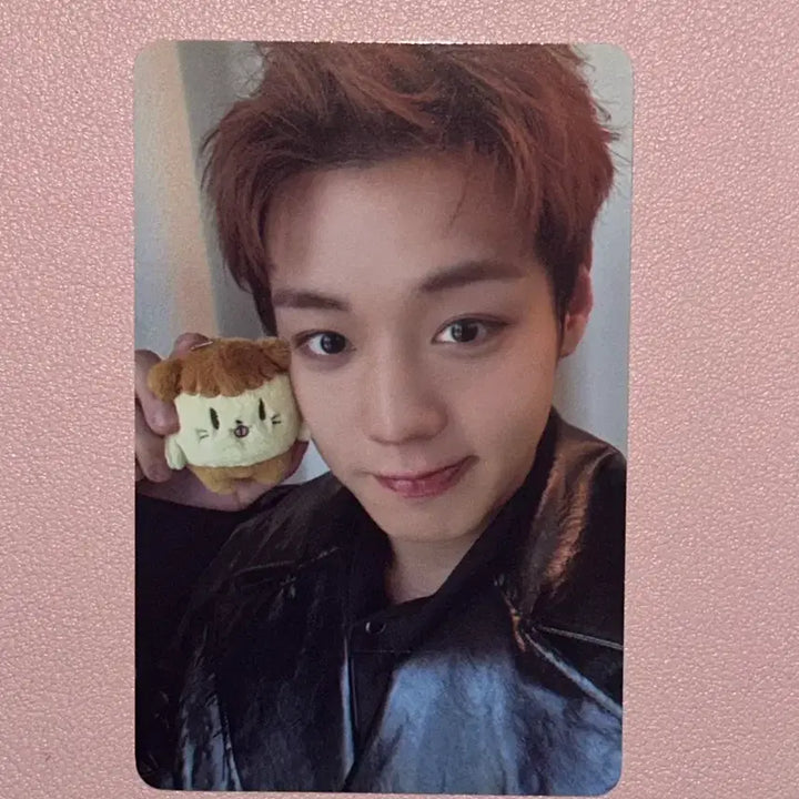 [BUNJANG] Park Ji Hoon Booumi Doll Photocard / 박지훈 소심이 팝업 뿌움이 인형 포토카드