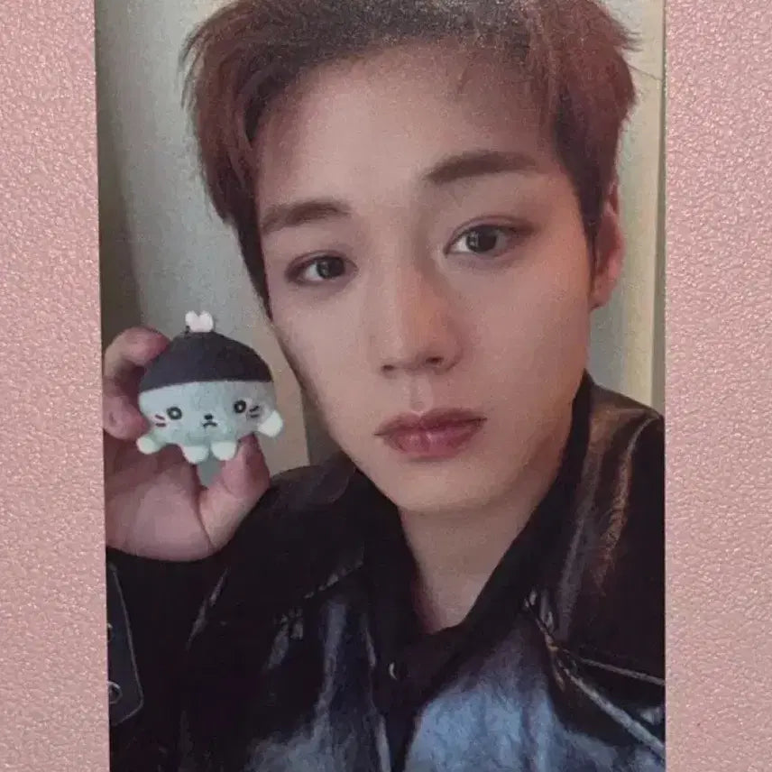 [BUNJANG] Park Jihoon Moongyi Photocard / 박지훈 소심이 팝업 모옹이 포토카드