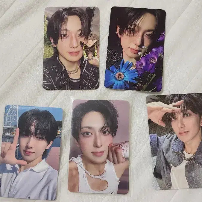 [BUNJANG] ENHYPEN FUMA Bundle Set Photocard / 앤팀 후마 포카 일괄 양도