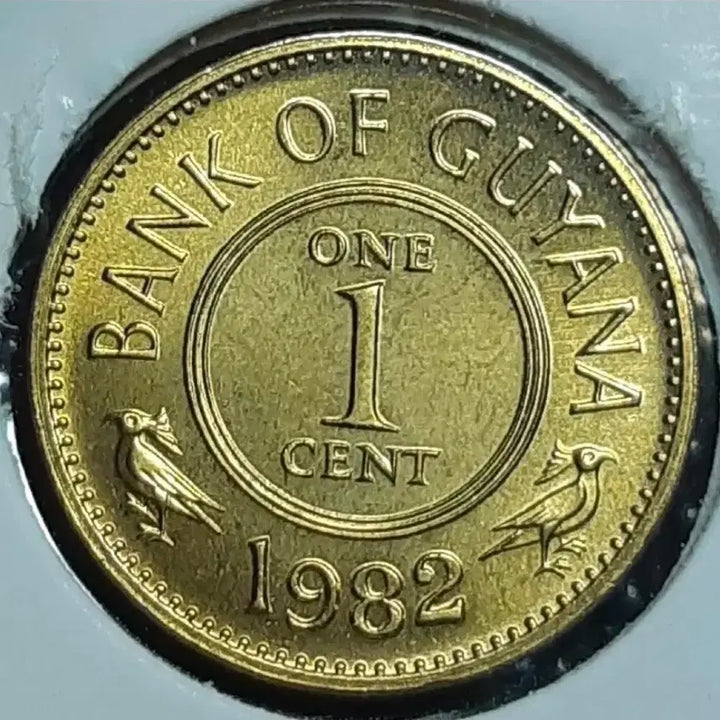 [BUNJANG] Rare Guyana 1 Cent Coin (1985) - Unused Foreign Currency / 희귀 가이아나 미사용 1985년 1센트.외국주화 주화 화폐 동전