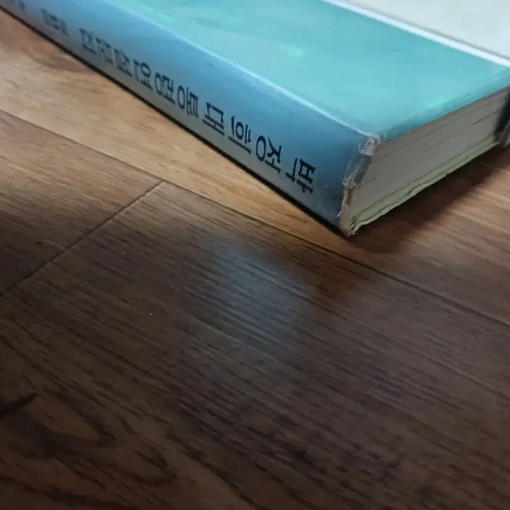 [SOLD OUT] 박정희대통령각하 연설문사진되로