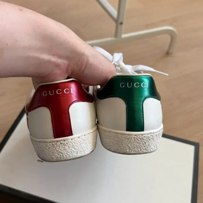 [BUNJANG] Gucci Sneaker Shoes UK 6 (255) / 구찌 스니커즈 신발 uk6 (255)