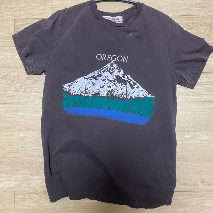 [BUNJANG] Remi Relief SP Finish T-Shirt Oregon D.BROWN / 레미릴리프_ SP Finish T (OREGON) [D.BROWN]