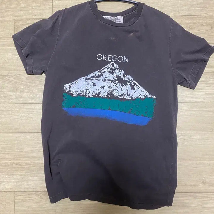 [BUNJANG] Remi Relief SP Finish T-Shirt Oregon D.BROWN / 레미릴리프_ SP Finish T (OREGON) [D.BROWN]