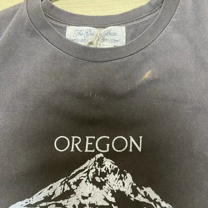 [BUNJANG] Remi Relief SP Finish T-Shirt Oregon D.BROWN / 레미릴리프_ SP Finish T (OREGON) [D.BROWN]