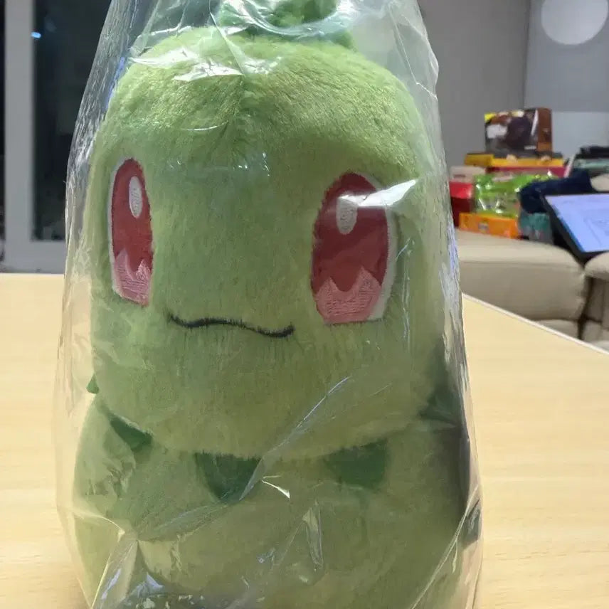 [BUNJANG] Pokemon 30th Anniversary Lottery Chikorita Plush / 포켓몬30주년 쿠지 치코리타인형팝니다.