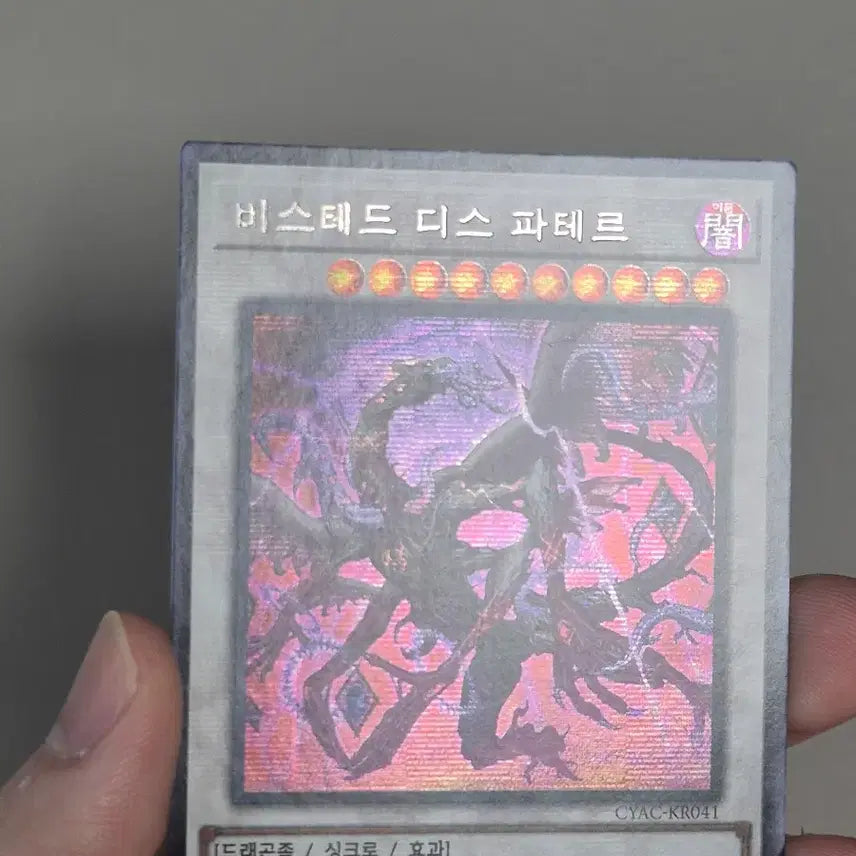 [BUNJANG] Bisteed di Pater Secret / 비스테드 디스 파테르 시크릿