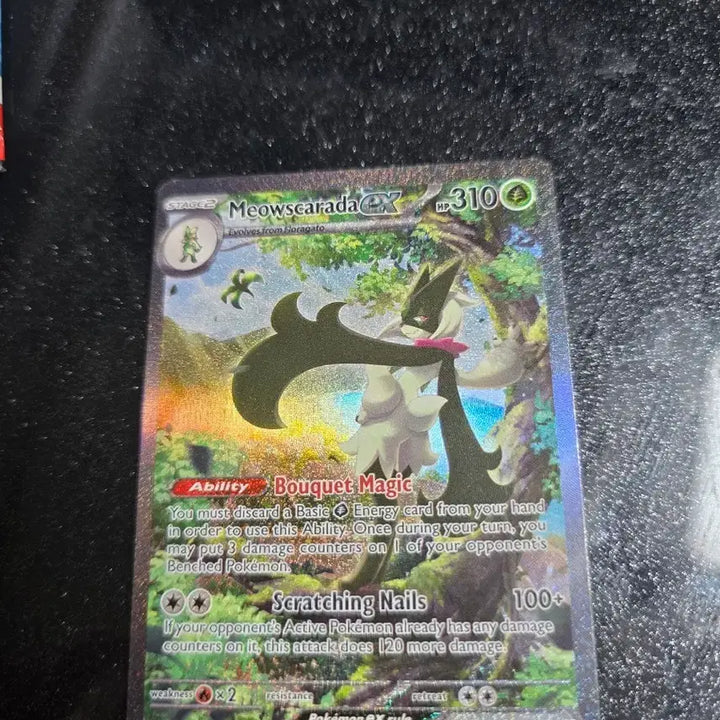 [BUNJANG] Pokemon TCG North American Edition Maschlerena EX / 포켓몬카드 북미판 마스카나ex