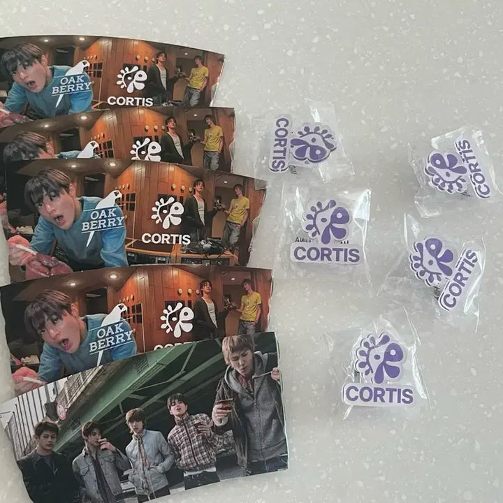 [BUNJANG] Oakberry CORTIS Holder &amp; 5 Spoon Picks / 새상품)오크베리 코르티스 홀더 및 스푼픽 5개