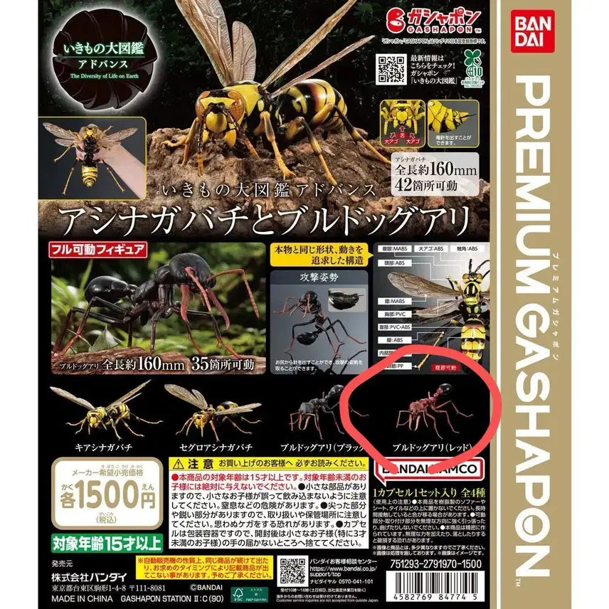 [BUNJANG] Bio Encyclopedia Advance Red Bulldog Ant Sealed / 생물대도감 어드밴스 불독개미 레드 미개봉 팝니다.