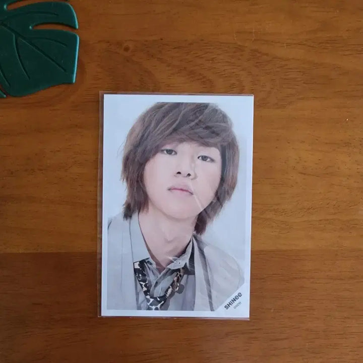 [BUNJANG] SHINee Onew Photocard / 샤이니 온유 포토