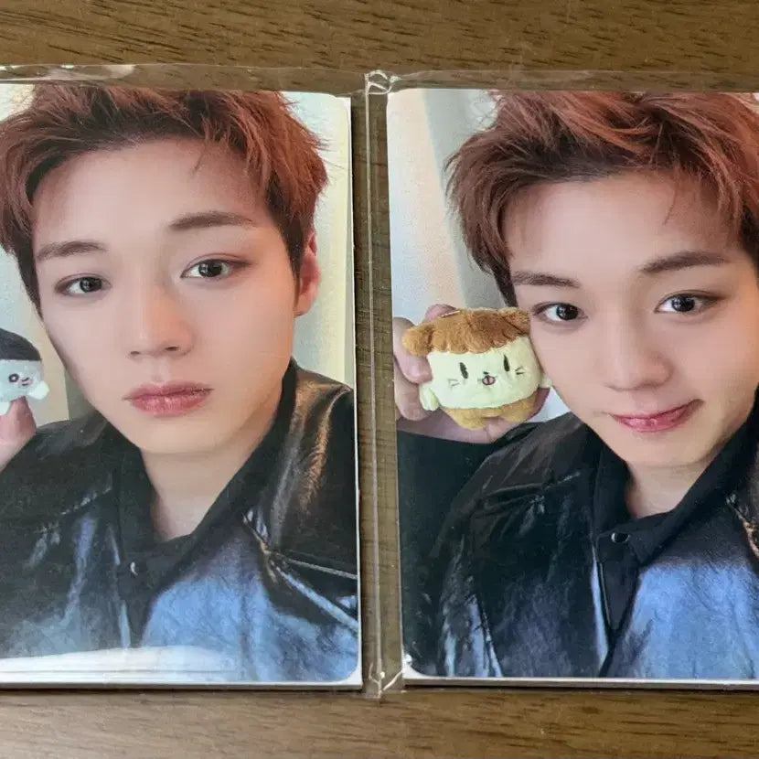 [BUNJANG] Park Jihoon Ppoomi Moongyi Photocard Bundle Set / 박지훈 뿌움이, 모옹이 포카 일괄