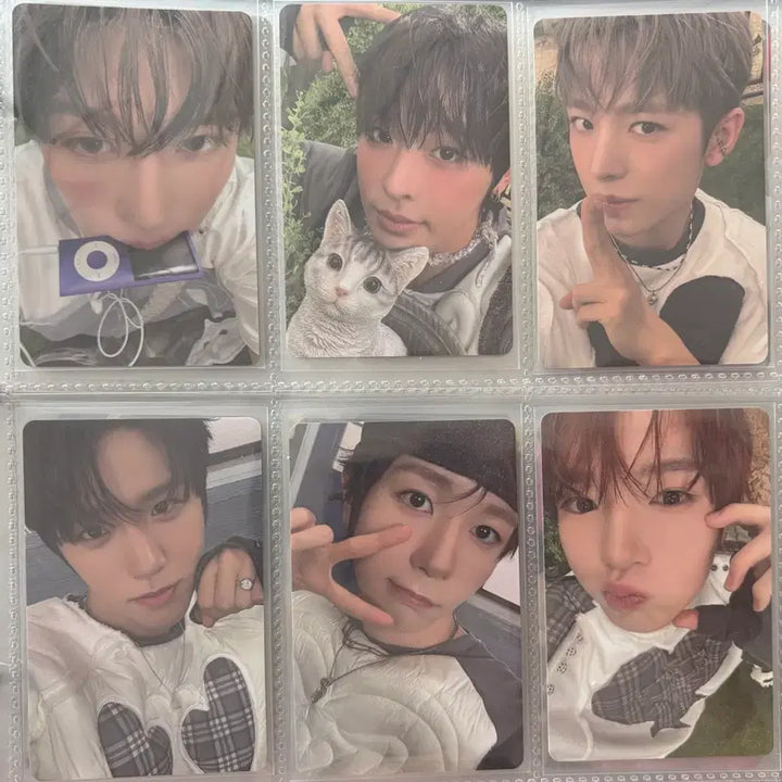 [BUNJANG] NCT WISH Color Jewel Set Photocard Bundle Sion Riku Yushi Jaehee Ryo Sakuya / 엔시티위시 컬러 쥬얼 개인 포카 일괄 시온 리쿠 유우시 재희 료 사쿠야