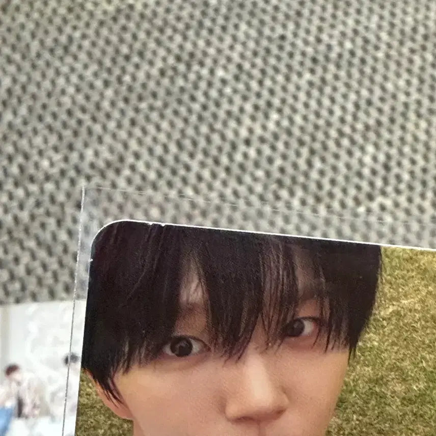 [BUNJANG] NCT WISH Jaehee Photocard Bundle / 엔시티위시 재희 굿즈
