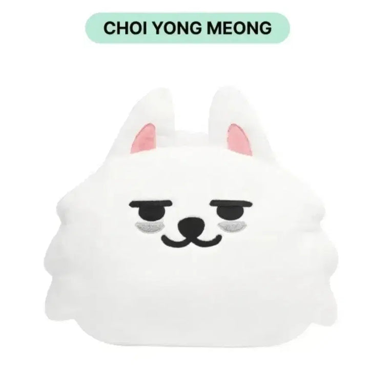 [BUNJANG] Choi Yong Meng Face Cushion / 최용멍 페이스쿠션