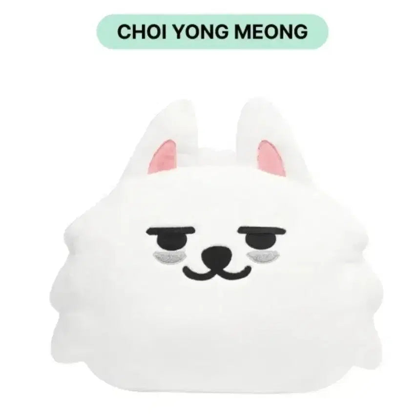 [BUNJANG] Choi Yong Meng Face Cushion / 최용멍 페이스쿠션