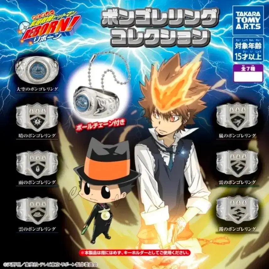 [BUNJANG] Katekyo Hitman Reborn! Vongola Ring &amp; New Vongola Ring Full Set / 봉고레링 + 뉴봉고레링 가정교사히트맨리본