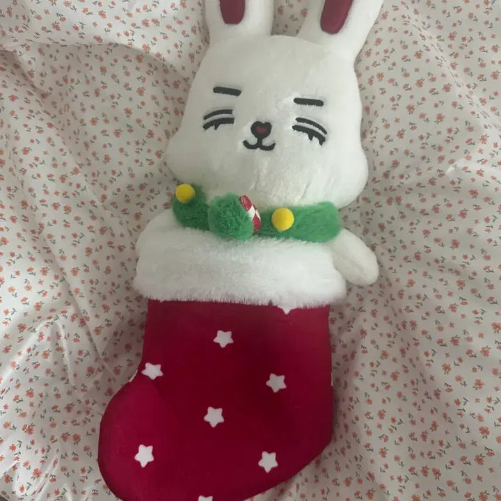 [BUNJANG] SEVENTEEN Mini Doll Choi Cherry Holiday Plush Doll / 미니틴 쵯체리 홀리데이 플러쉬돌
