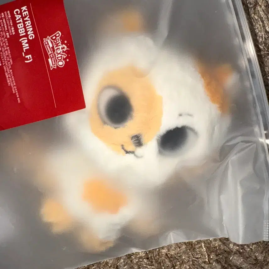 [BUNJANG] BOYNEXTDOOR Seongho Cat Ppi Plush Keyring with Photocards / 보넥도 쁘넥도 성호 캣삐 플러시 키링 +증사 미개봉