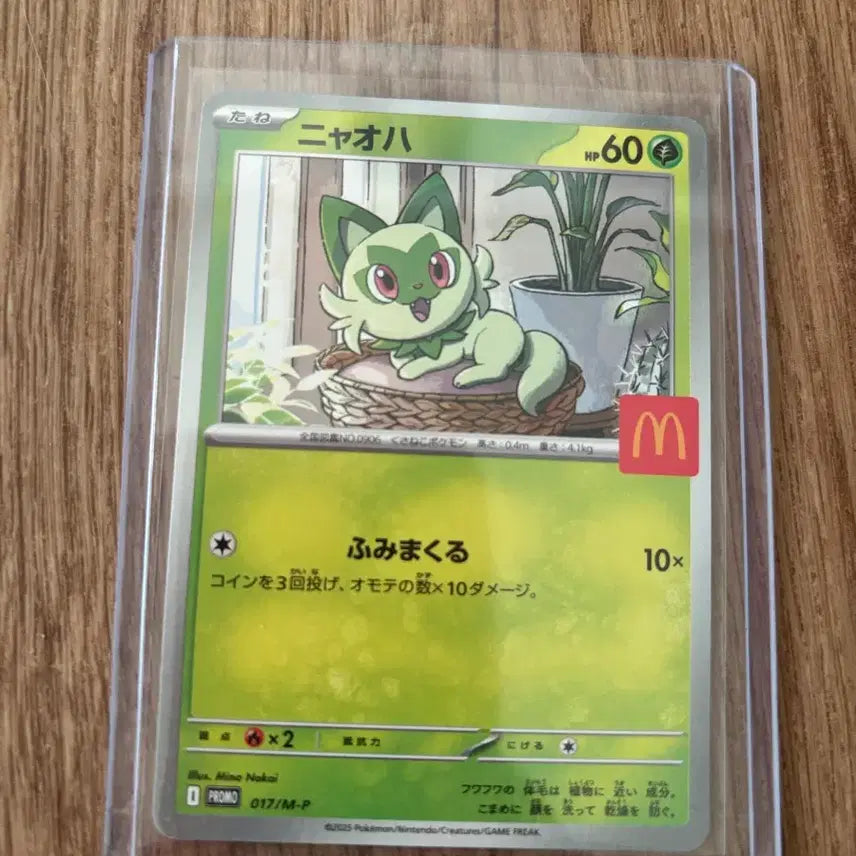 [BUNJANG] Pokemon Card Nyaho / 포켓몬 카드 고양이 냐오하