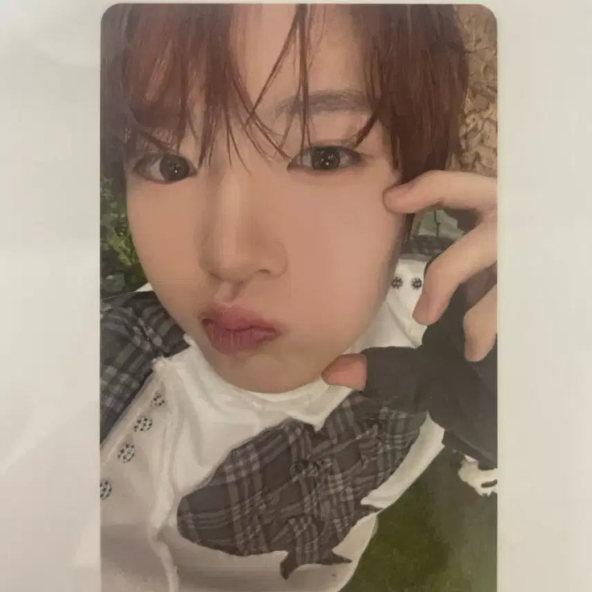 [BUNJANG] Sakuya Photocard / 사쿠야 포카 판매합니다