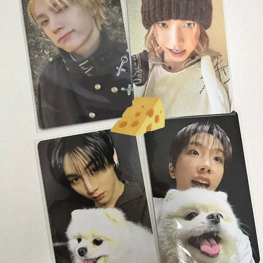 [BUNJANG] BOYNEXTDOOR Photocard / 보넥도 포카