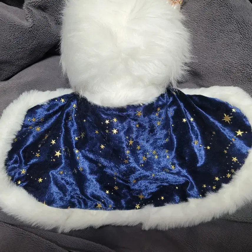 [BUNJANG] 20cm Doll Clothes Set (Cape, Crown, Top, Bottoms, Scarf, Bowtie) / 20cm 솜인형 옷 망토 왕관 일괄