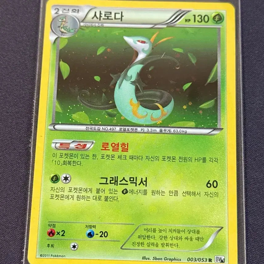 [BUNJANG] Pokemon Card Serperior BW Holo / 포켓몬카드 샤로다 BW 홀로
