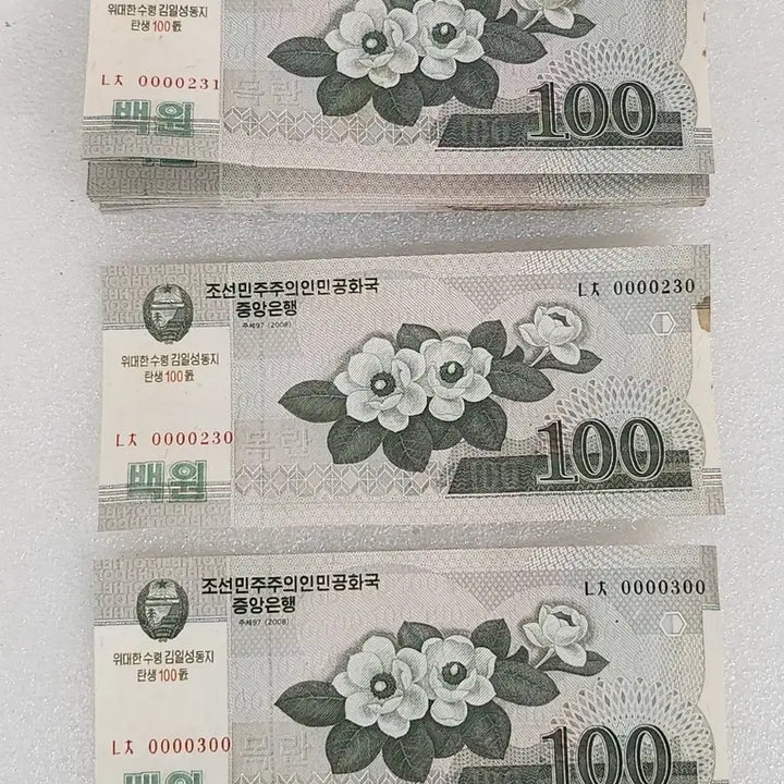 [BUNJANG] North Korea 100 Won Banknote Consecutive Set (2008) / 북한의 100원권 지폐연번