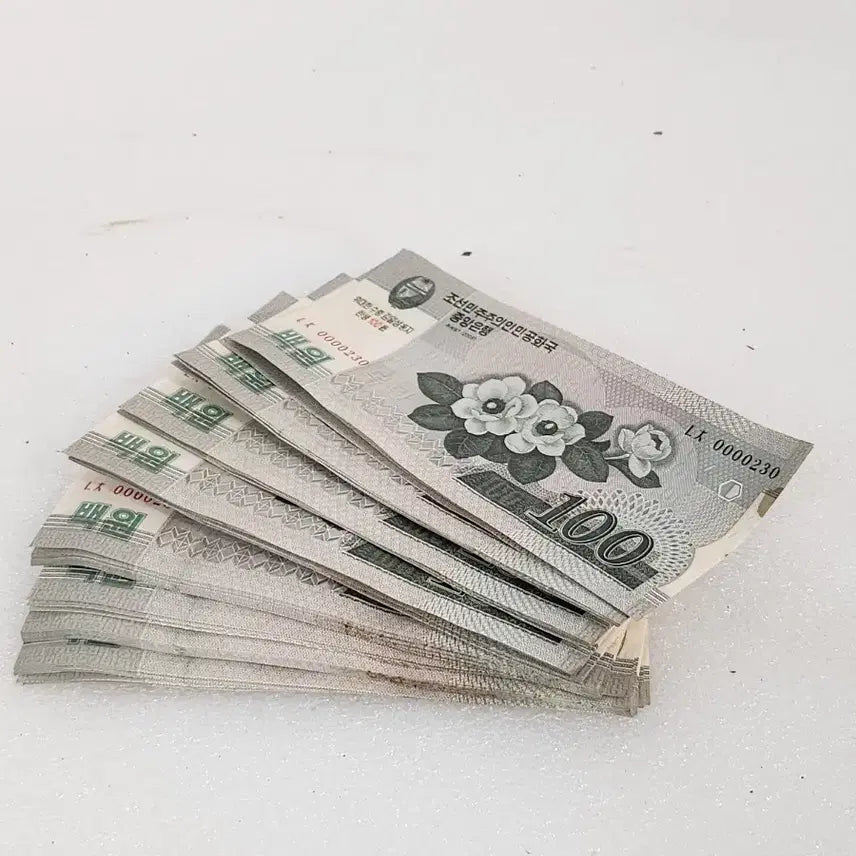 [BUNJANG] North Korea 100 Won Banknote Consecutive Set (2008) / 북한의 100원권 지폐연번