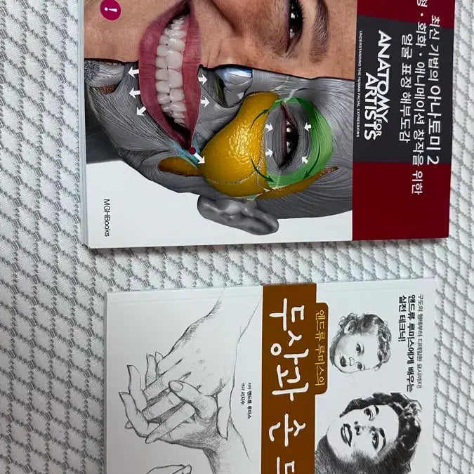 [BUNJANG] Andrew Loomis Anatomy 2 (Latest Techniques) / 배송비포함 최신 기법의 아나토미 2 앤드류 루미스