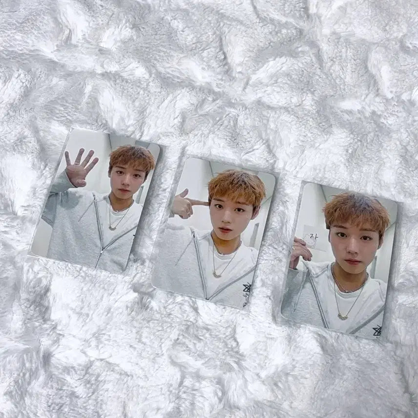 [BUNJANG] Park Jihoon Fancon Reflect Sakija Photocard / 박지훈 팬콘 리플렉트 사귀자포카