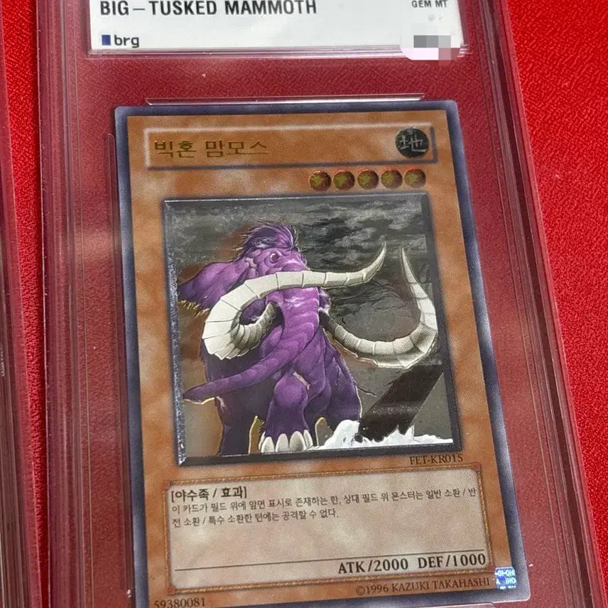 [BUNJANG] Yu-Gi-Oh! 2-Piece Bundle: Ancient Gear Golem &amp; Big Horn Mammoth / 유희왕 등카 10점 2종 일괄 앤틱 기어 골렘 빅혼 맘모스