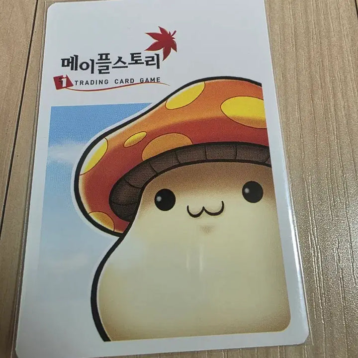 [BUNJANG] MapleStory iTCG Focus Card / (메이플스토리 iTCG)포커스 카드 팝니다.