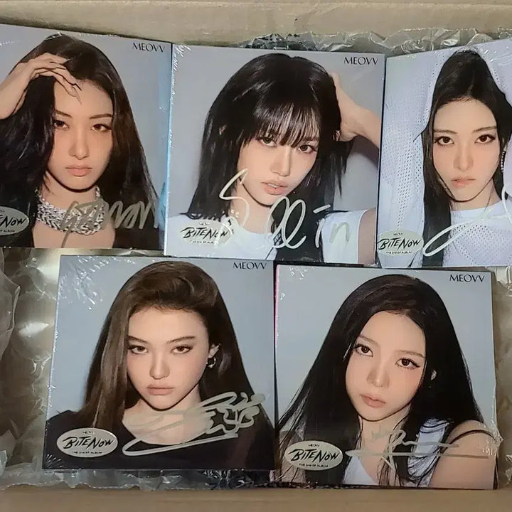 [BUNJANG] Blackpink Signed Album Bundle Set (Sealed) / meovv 5인 싸인 앨범 일괄 미야오 블랙핑크 blackpink
