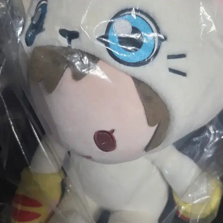 [BUNJANG] Digimon Pote Kuji D Prize Last One Gatomon (Kari), Tai Doll Set / 디지몬 포테 쿠지 라스트원 태일이 인형